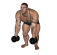 Dumbbell Row - Bent Over Inwards